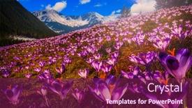  Presentation with spring - PPT theme having spring-tatra-mountains-landscape background and a violet colored foreground