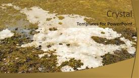  Presentation with snow - Amazing PPT theme having spring-thaw-snow-is-melting backdrop and a gold colored foreground