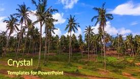  Presentation with new beginning - Slide deck having spring the thai new year background and a  colored foreground