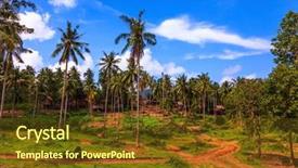  Presentation with new beginning - Beautiful PPT layouts featuring spring the thai new year backdrop and a  colored foreground