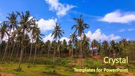  Presentation with new beginning - Amazing presentation theme having spring the thai new year backdrop and a  colored foreground