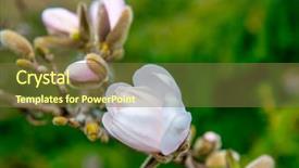  Presentation with canada - PPT layouts featuring spring time in beacon background and a tawny brown colored foreground