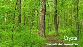  Presentation with detroit - Presentation design enhanced with spring time near detroit background and a  colored foreground