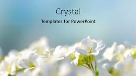  Presentation with meadow - PPT theme with spring-time-on-a-fresh background and a light blue colored foreground