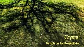  Presentation with green shadow - Slide set with spring time on lush green background and a tawny brown colored foreground