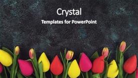  Presentation with concrete pouring during commercial concreting - Presentation with spring time or easter theme background and a dark gray colored foreground