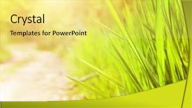  Presentation with free veterans day - Cool new theme with father feeding his baby son backdrop and a sky blue colored foreground