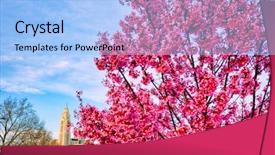  Presentation with spring modern - Audience pleasing PPT theme consisting of spring time views of columbus backdrop and a  colored foreground