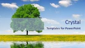  Presentation with spring water - Amazing PPT theme having spring tree on dandelions field mirrored on water level backdrop and a light blue colored foreground