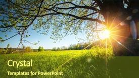  Presentation with spring tree - Presentation design with spring tree on the green background and a tawny brown colored foreground