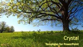  Presentation with tea leaves fresh green leaf - PPT layouts featuring spring tree with fresh green background and a tawny brown colored foreground