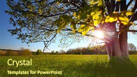  Presentation with spring tree - Beautiful PPT theme featuring spring tree with fresh green backdrop and a tawny brown colored foreground