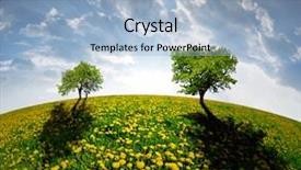  Presentation with trees - Beautiful presentation design featuring spring trees on dandelions field backdrop and a  colored foreground