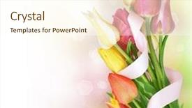  Presentation with bunch - PPT layouts featuring spring tulip flowers bunch background and a cream colored foreground