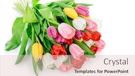  Presentation with romantic gift - Theme consisting of spring-tulips-flowers-bouquet-romantic background and a lemonade colored foreground