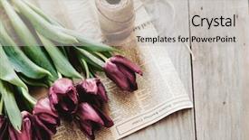  Presentation with rustic spring - Theme having spring tulips flowers wrapped background and a light gray colored foreground