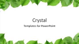  Presentation with green leaves - Beautiful slide deck featuring spring twigs with green leaves backdrop and a  colored foreground