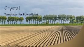  Presentation with potato - Presentation theme consisting of spring-view-of-potato-field background and a light blue colored foreground