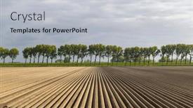  Presentation with potato - Theme with spring-view-of-potato-field background and a light gray colored foreground