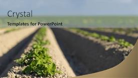  Presentation with planting the seed - PPT layouts with spring-view-of-potato-field background and a light blue colored foreground