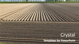  Presentation with potato - Theme enhanced with spring-view-of-potato-field and a dark gray colored foreground
