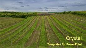 Presentation with vineyard - Slide set enhanced with spring-vineyard-near-cejkovice-southern background and a  colored foreground