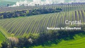  Presentation with czech republic - PPT theme with spring-vineyard-near-lampelberk-znojmo background and a  colored foreground