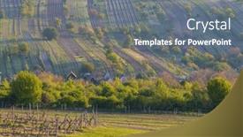  Presentation with vineyard - Presentation featuring spring-vineyard-near-mutenice-southern background and a gray colored foreground