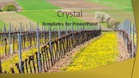  Presentation with vineyard - Slides consisting of spring-vineyard-near-retz-austria background and a yellow colored foreground
