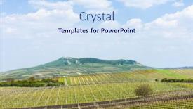  Presentation with czech republic - Amazing PPT layouts having spring-vineyard-palava-czech-republic backdrop and a sky blue colored foreground