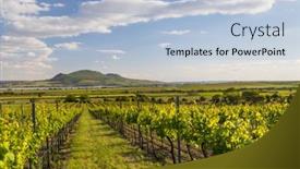  Presentation with vineyards - Colorful presentation theme enhanced with spring-vineyards-under-palava-near backdrop and a light blue colored foreground