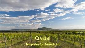  Presentation with czech republic - Beautiful theme featuring spring-vineyards-under-palava-near backdrop and a tawny brown colored foreground