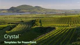  Presentation with czech republic - PPT theme consisting of spring-vineyards-under-palava-near background and a tawny brown colored foreground