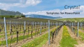  Presentation with vineyards - PPT layouts consisting of spring-vineyards-under-palava-near background and a light blue colored foreground