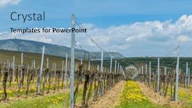  Presentation with vineyards - PPT theme featuring spring-vineyards-under-palava-near background and a light blue colored foreground