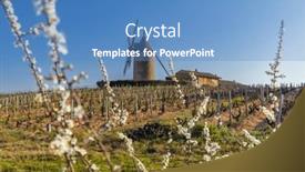  Presentation with windmill - Slides having spring-vineyards-with-chenas-windmill background and a teal colored foreground