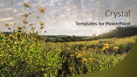  Presentation with wildflower meadow - Presentation featuring spring-wildflower-meadow background and a soft green colored foreground