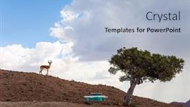  Presentation with magical - Audience pleasing PPT theme consisting of springbok-antelope-travel-to-africa backdrop and a light blue colored foreground