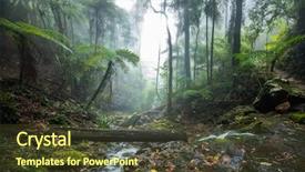  Presentation with queensland - Slides featuring springbrook national park queensland background and a tawny brown colored foreground