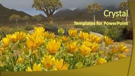  Presentation with landscape desert - Presentation design having springs desert - landscape with wild flowers background and a tawny brown colored foreground