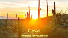 Presentation with saguaro - Beautiful PPT theme featuring springs desert - saguaro national park backdrop and a tawny brown colored foreground