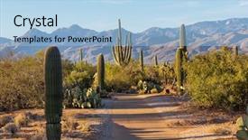  Presentation with saguaro - Audience pleasing PPT layouts consisting of springs desert - saguaro national park backdrop and a light blue colored foreground
