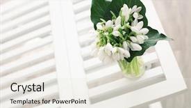  Presentation with bunch - Beautiful PPT layouts featuring springs live - bunch of snowdrops backdrop and a  colored foreground