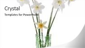  Presentation with green glass - Colorful presentation theme enhanced with springtime bouquet with daffodils in green glass vase backdrop and a white colored foreground