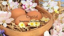  Presentation with rustic healthy - Cool new slide deck with springtime-composition-with-fresh-brown backdrop and a coral colored foreground