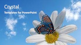  Presentation with springtime - Audience pleasing PPT theme consisting of springtime - conceptual photo backdrop and a teal colored foreground