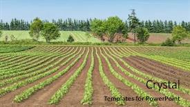  Presentation with springtime - Cool new slide deck with coffee croissant and fresh fruits on a table backdrop and a soft green colored foreground