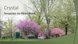  Presentation with green trees in park - PPT layouts having springtime-flowering-trees-in-park background and a mint green colored foreground