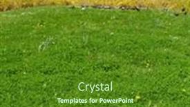  Presentation with springtime - 