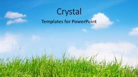  Presentation with grass texture on green - PPT layouts consisting of hold an octopus by means of chopsticks macro on a background of seafood soup horizontal note shallow depth of field background and a tawny brown colored foreground